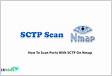 ﻿How To Scan Ports With SCTP On Nmap Complete
